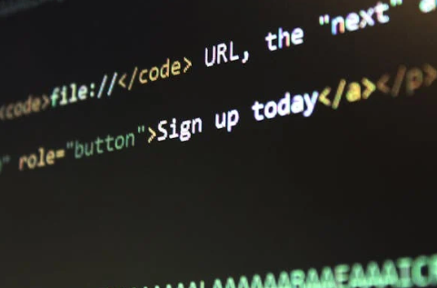 从零到一：打造高性能网站的完整技术指南